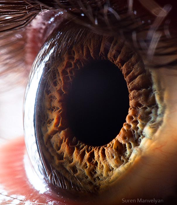 15 макро фотографий человеческих глаз