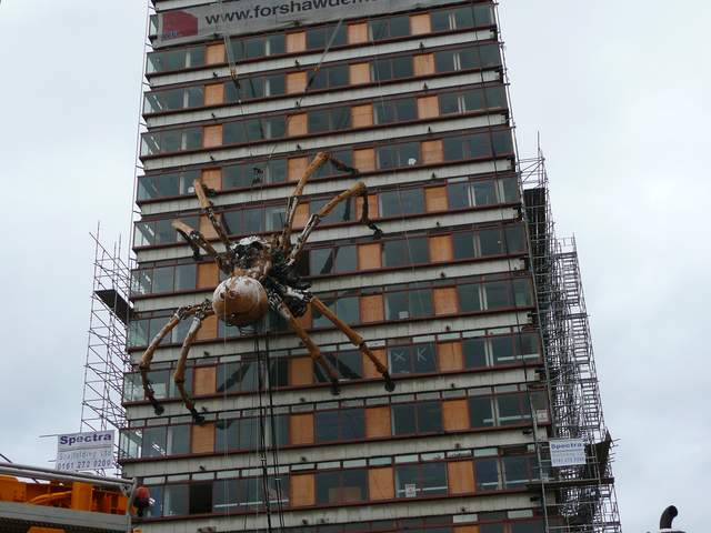 Гигантский паук на здании животные, кадр, люди, фото, фотоподборка