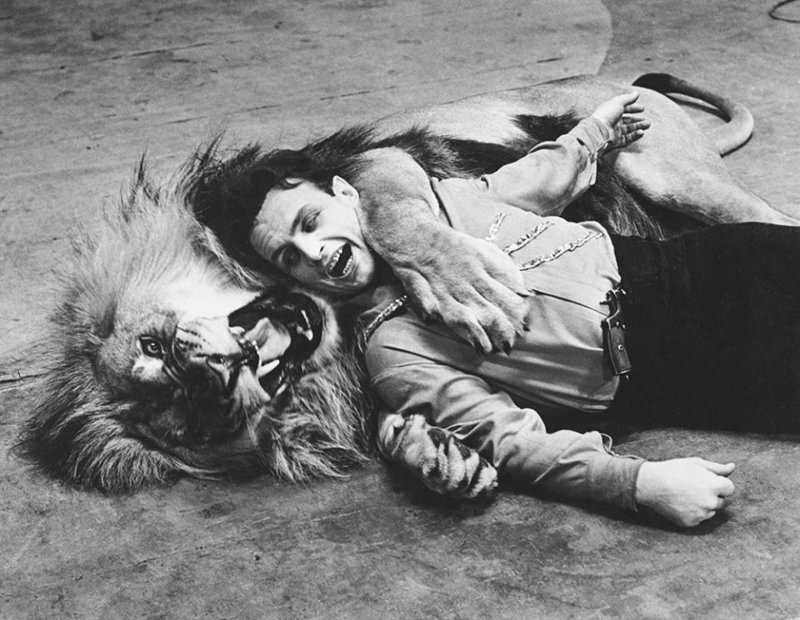 Вальтер Запашный и лев. СССР. 60-е история, люди, фото