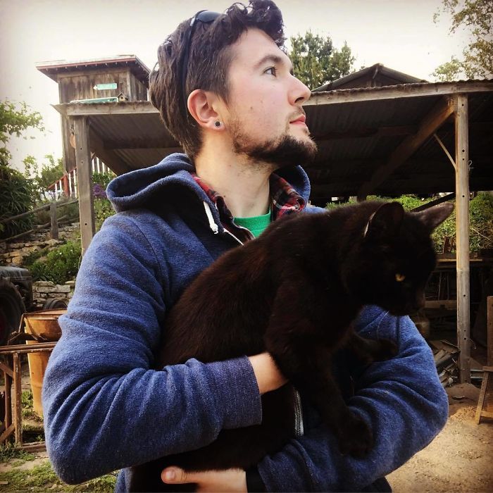 Man Cuddles Cats On Instagram