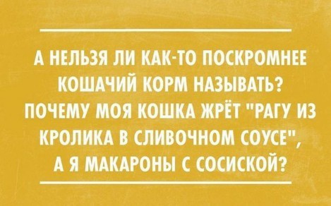 Смешные комментарии из социальных сетей приколы, смешные комментарии, юмор
