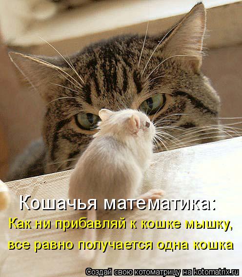 Мысли вслух :)