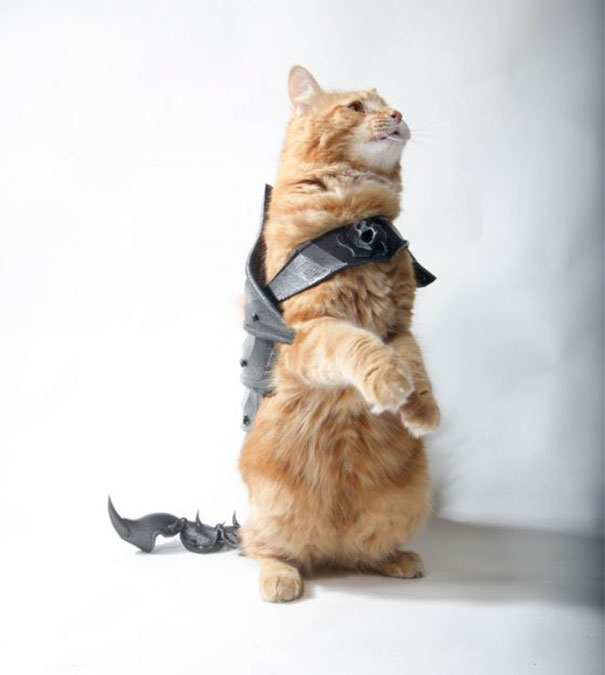 cat-armor-3d-print-that-thing-7