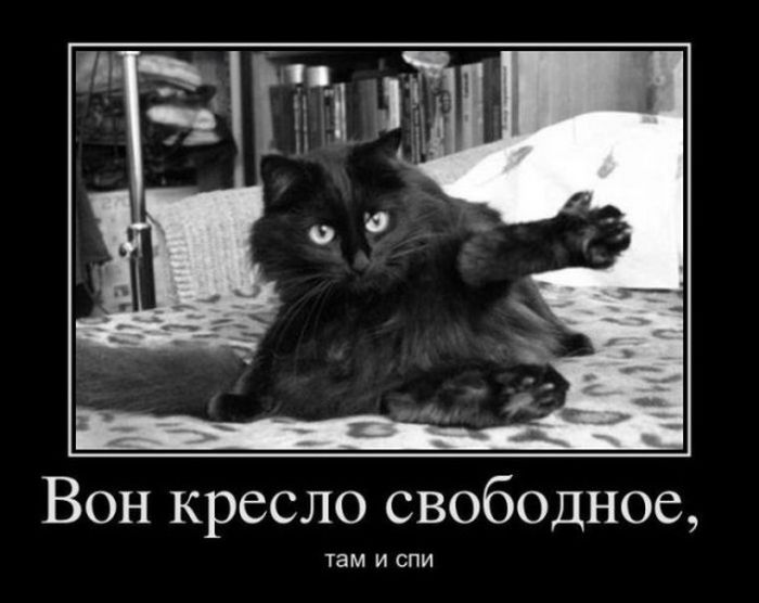 Классные и зачетные демотиваторы для поднятия настроения на выходные подловили,приколы,юмор