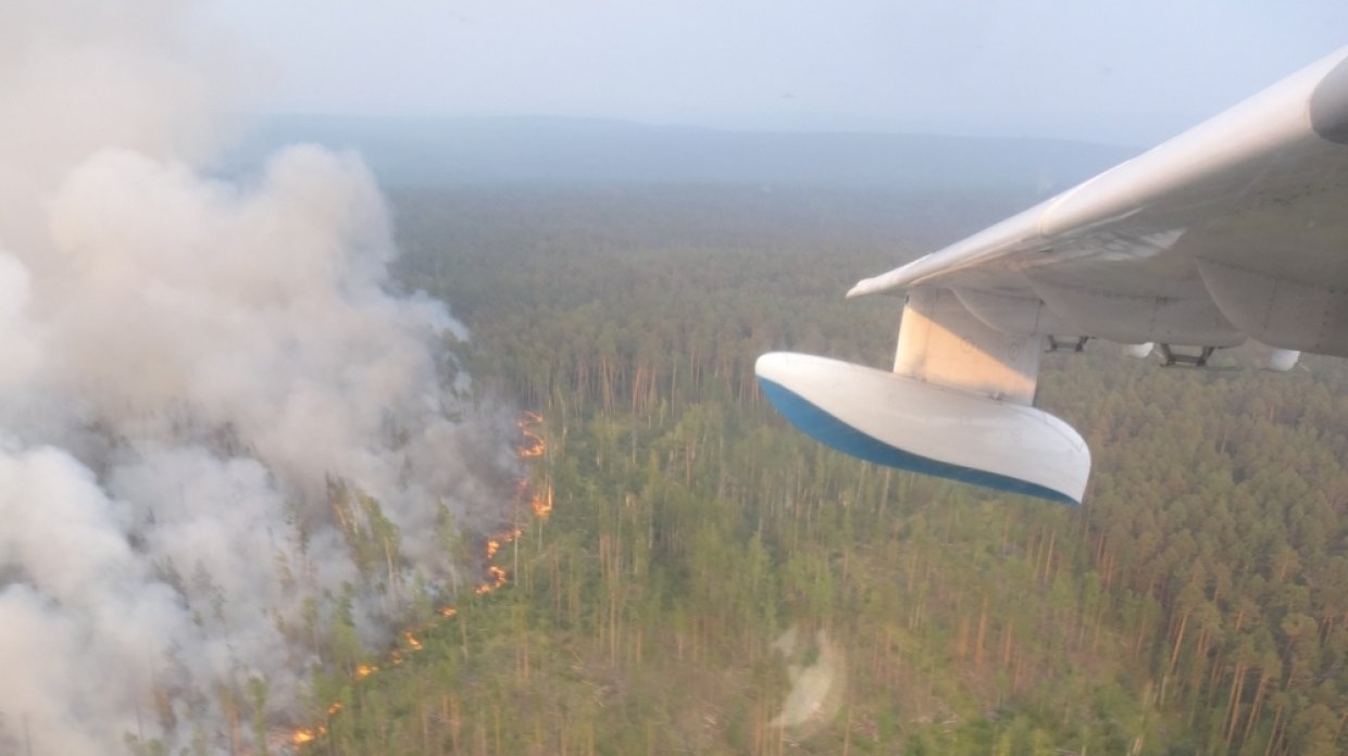 Россия борется с лесными пожарами. Тема недели. ФАН-ТВ