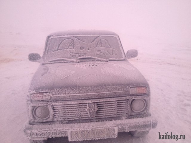 Веселый юмор Веселый юмор