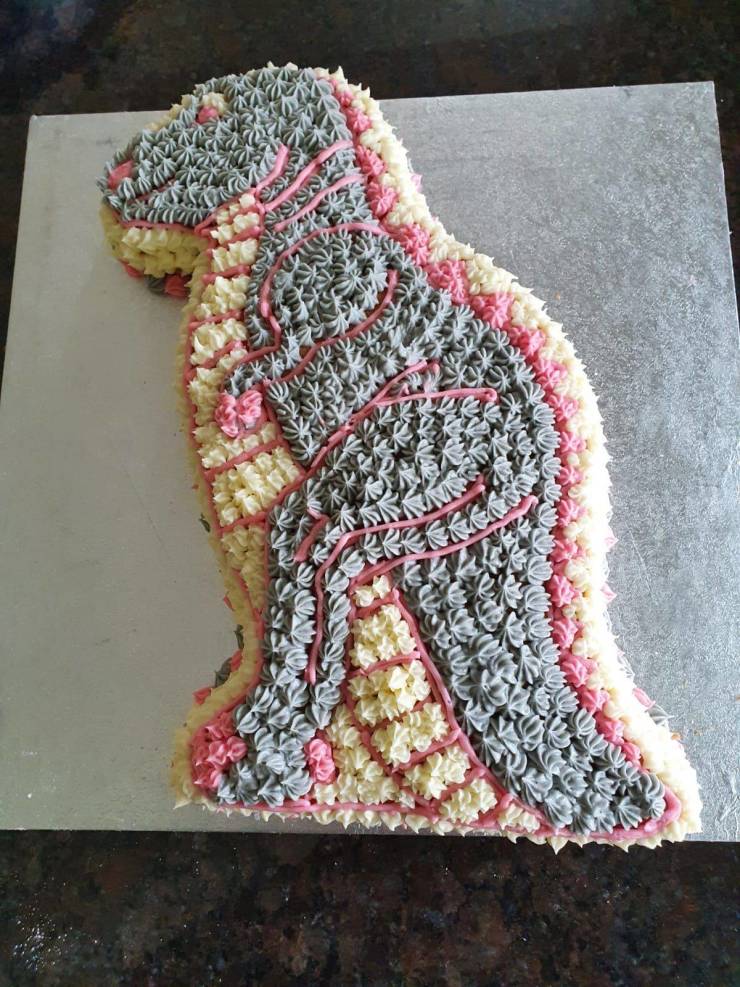 Подборка прикольных картинок  приколы,смешные картинки,юмор