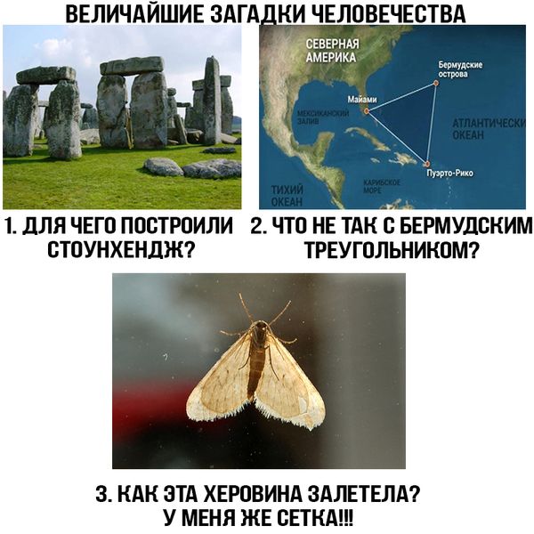 Смешные и веселые картинки с надписями со смыслом (11 фото)