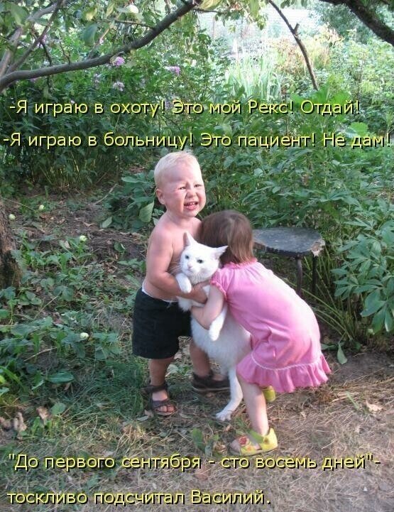 Иногда животные могут быть очень похожи на людей