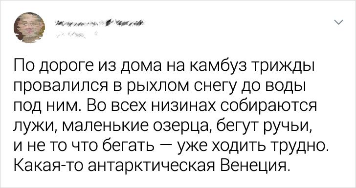 Вот такое оно, антарктическое лето Лето —, И обо, на полярной, ученым, живется, а теперь рассказывает, по работе, в Антарктиду, улетел, который, Мельникова, от Дениса, мы узнали, на солнышке, особенное, резвятся, гурьбой, а пингвинята, ручейки, бегут