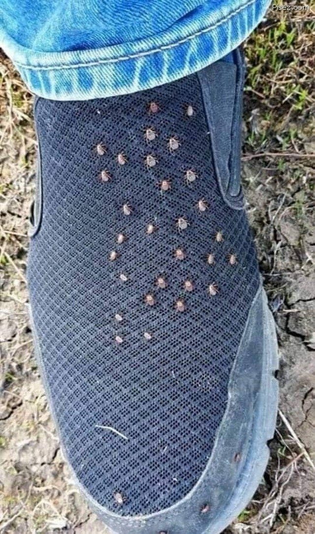 Майские приколы 2021 Майские приколы 2021 позитив,смешные картинки,юмор