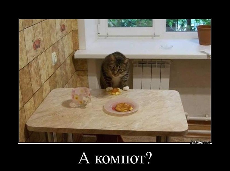 Прикольное фото демотеваторы, приколы, фото