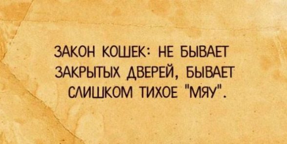 Отличные шутки для крутого настроения Отличные шутки для крутого настроения