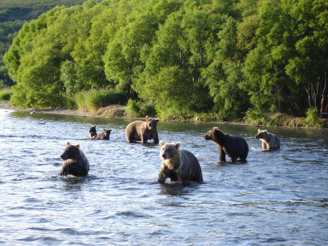 Курильские острова: романтика для истинных путешественников Курильские острова: романтика для истинных путешественников авиатур