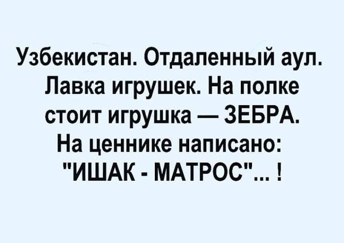 Самые отборные сливки из «Еврейского юмора». Вы точно найдёте себе что-то по вкусу юмор