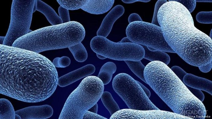В организме человека найдены десятки естественных антибиотиков