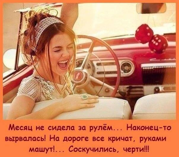 Мы с природой дружим, то она на мне отдохнёт то я на ней анекдоты,веселые картинки,демотиваторы,приколы,юмор