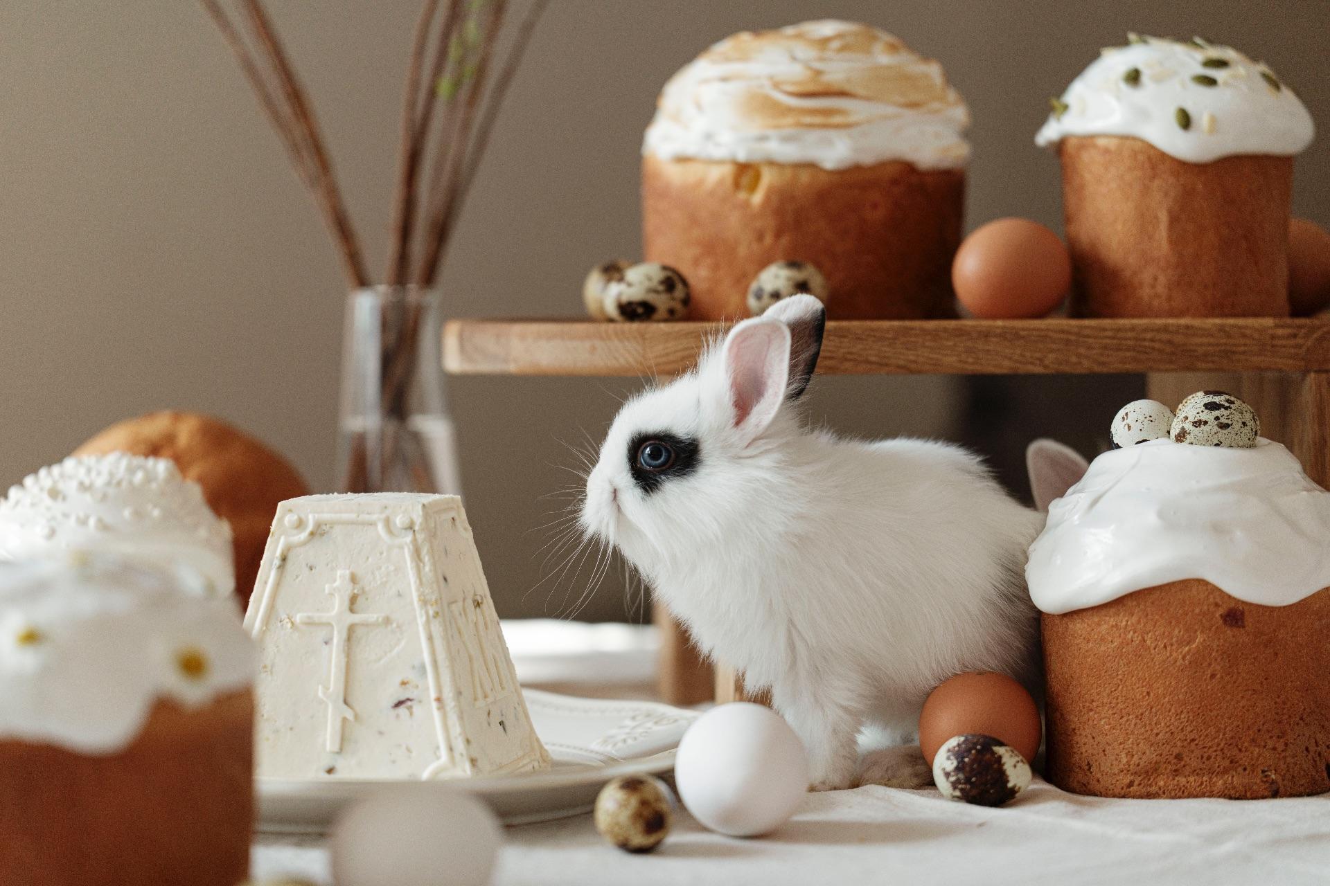 Где купить самые красивые куличи и десерты в Москве на Пасху 2026 кулич, кремом, изюмом, апреля, пасха, цукатами, можно, украшенный, куличей, куличи, рубКулич, цельной, панеттоне, клюквой, начинкой, собственного, производства, шоколадным, празднику, рубШоколадный