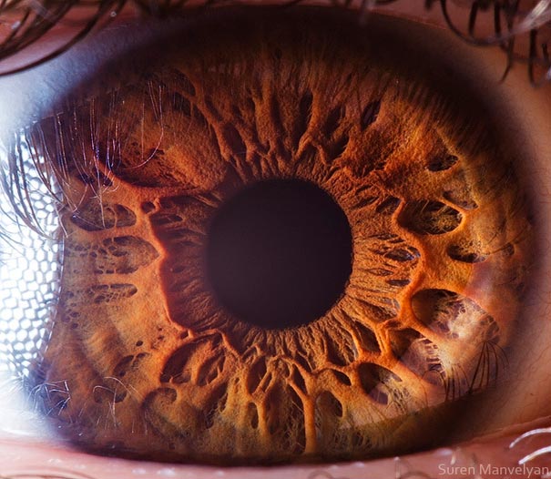 eye-macro-photo-3