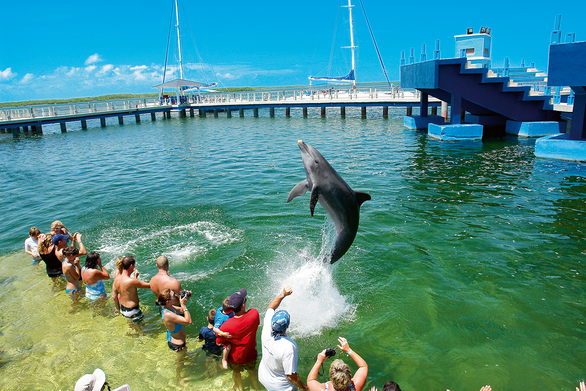 Дельфинарий варадеро. Дельфинарий Варадеро Куба. Остров Кайо Бланко + дельфинарий. Куба дельфинарий Гавана. Дельфинарий на Кубе Кайо Коко.