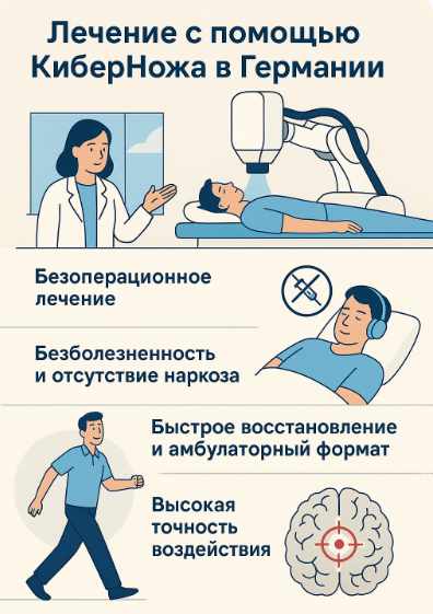 КиберНож в Германии