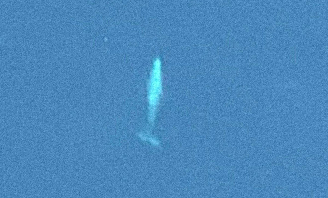 Женщина смотрела с самолета в иллюминатор и далеко внизу увидела огромного кита