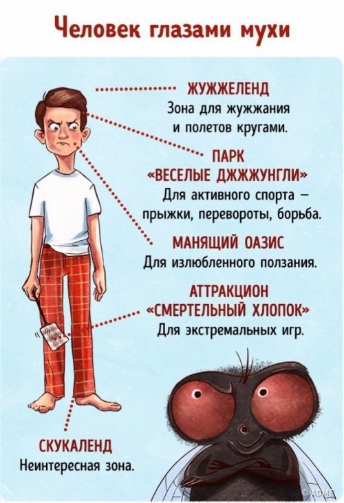 Человек глазами животных (9 фото)