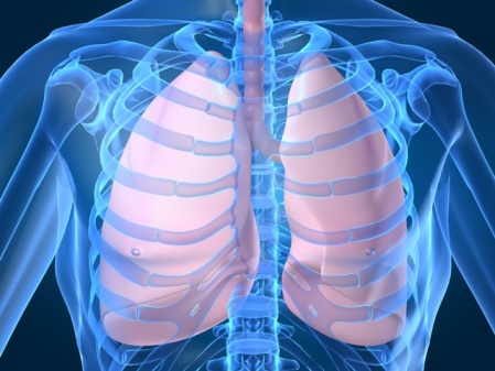 Рецепты народной медицины для органов дыхания