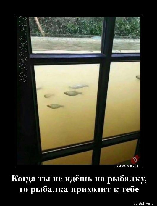 Демотиваторы-приколы в середине недели: «Мужчины все вещи обычно вешают на…»  