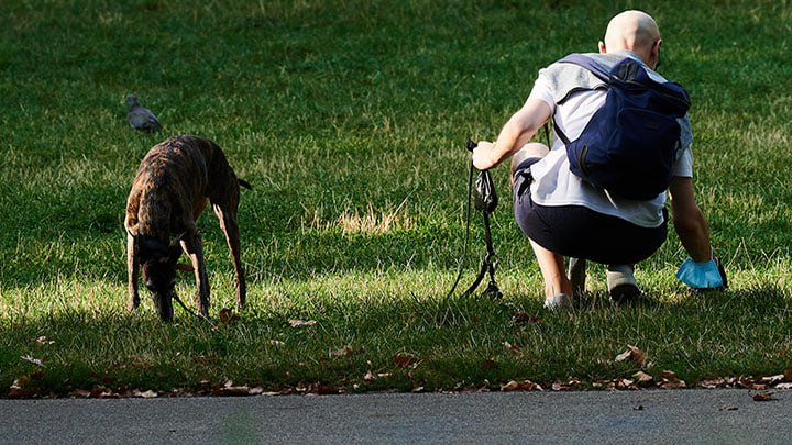 ПОСЛЕДНИЕ НОВОСТИ: 26.10.2023 новости