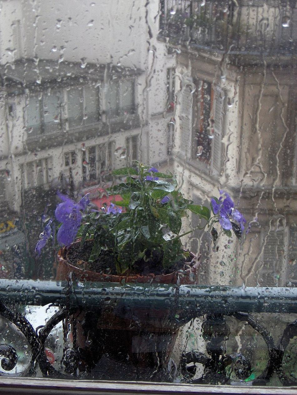 Краски Парижа. Вдохновение улиц Краски Парижа. Вдохновение улиц европа