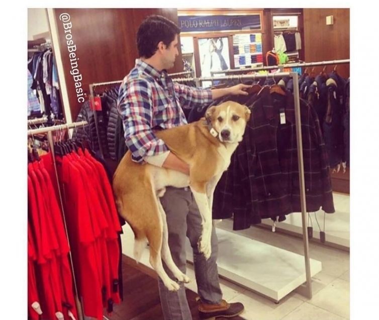  "Если бы мужчины ходили со своими собаками по магазинам также, как это делают женщины" Instagram, женщины, мужчины, пародия, юмор