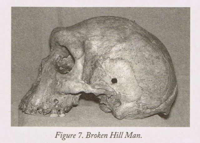 Кто стрелял в этого неандертальца?  Тайна древних черепов с пулевыми отверстиями