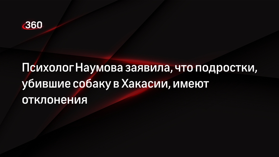 Психолог Наумова заявила, что подростки, убившие собаку в Хакасии, имеют отклонения