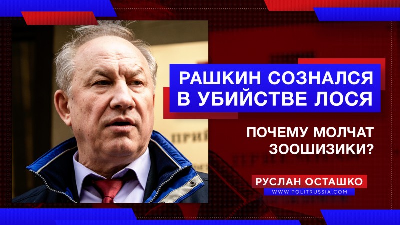 Рашкин сознался в убийстве лося. Почему молчат зоошизики?
