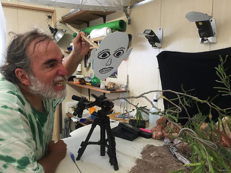 Пытка для растения и змеи? своя атмосфера, фотографии