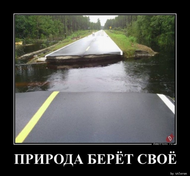 Демотиваторы-приколы в середине недели: «Мужчины все вещи обычно вешают на…»  