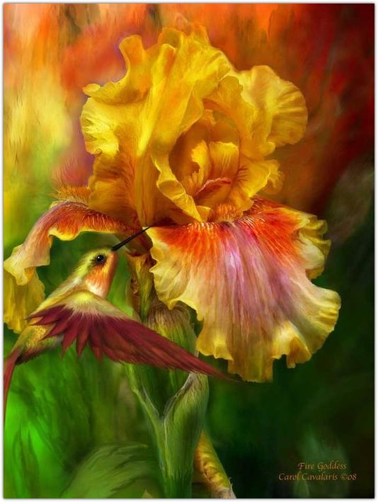 �������� �������� ����� ���������