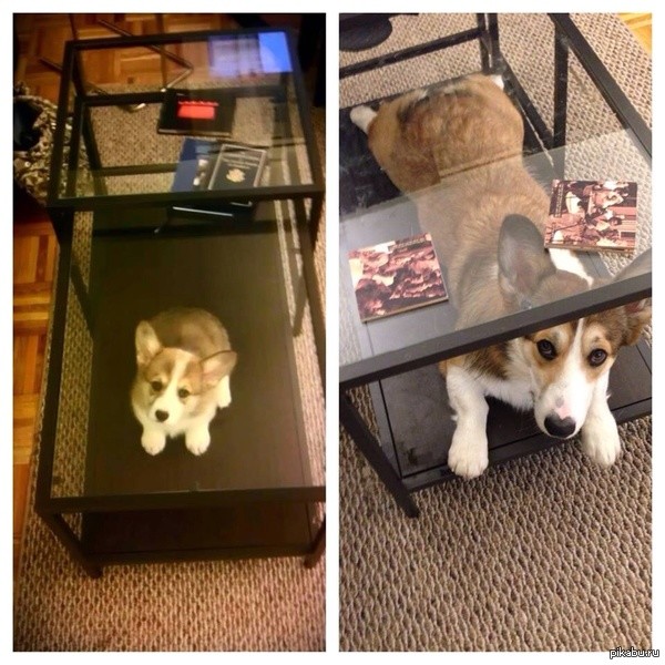 Нет ничего страшнее привычки. Нужны доказательства? Их есть у меня всякое случается, привычка, привычки, прикол, юмор