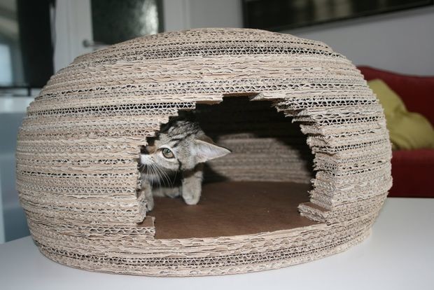 Девушка построила для кошки потрясающий домик-иглу из картона и вот как она это сделала домик, животные, своими руками
