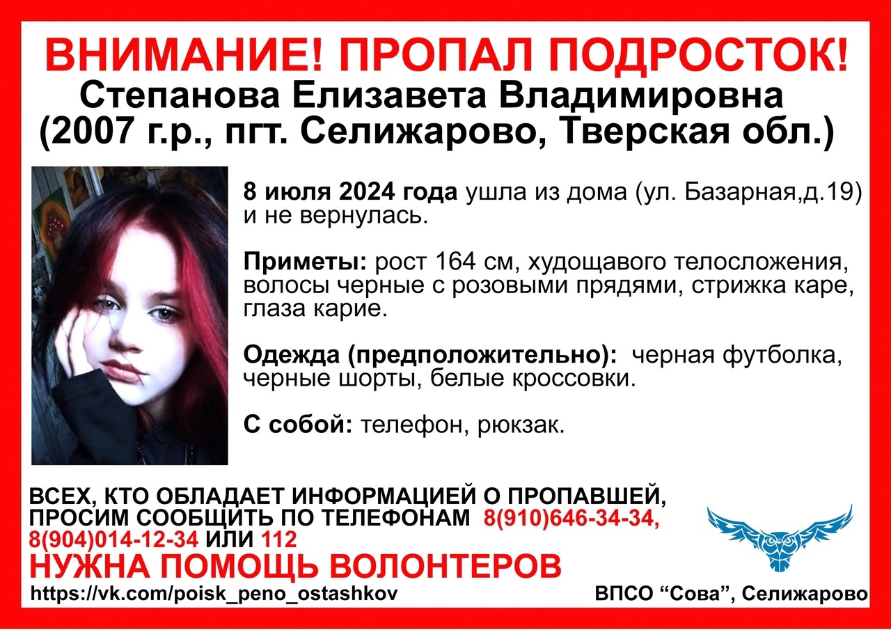 В Тверской области ищут девочку-подростка с розовыми прядями