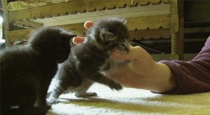 Подборка жизненных гифок на выходные 