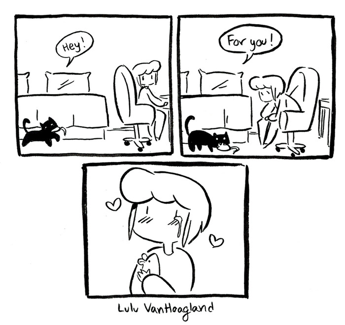 Cat Comics