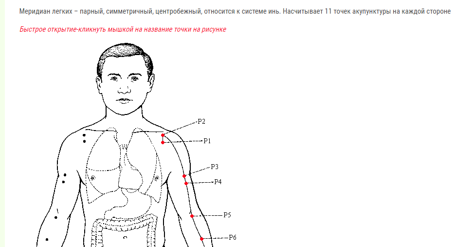 Точки легких. Меридиан лёгких точки. Меридиан легких в китайской. Недостаточность меридиана легких. Меридиан легких время.