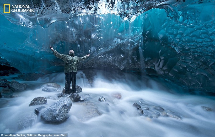 Фантастические снимки читателей журнала  National Geographic national geographic, животные, мир, природа, фотографии