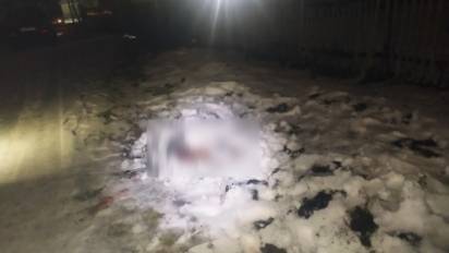 Пьяный сибиряк убил друга ножницами и спрятался от полиции за стогом сена