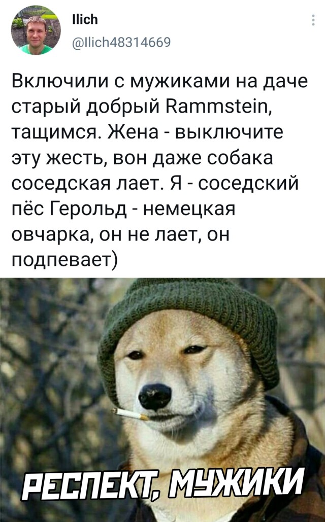Подборка смешных картинок Подборка смешных картинок приколы,смешные картинки,юмор