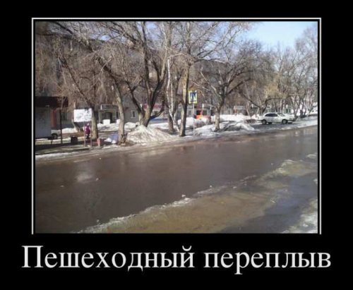 Немного прикольных демотиваторов 