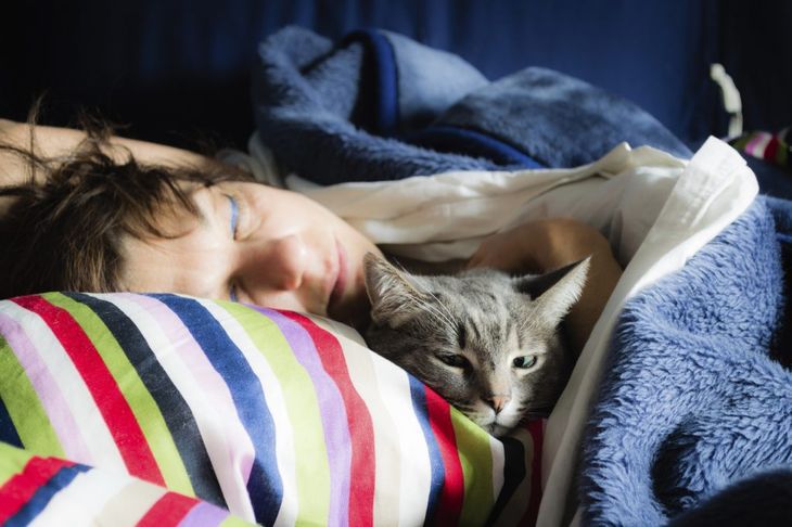 Если кошка любит спать в вашей постели, что это значит?