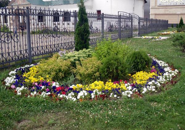 Городские цветы